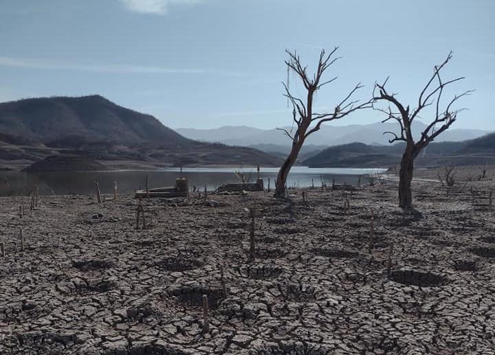 $!Ante sequía, emerge panteón en el lecho de la presa de Bacurato