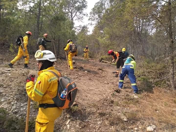 $!Incendios en Nuevo León avanzan hacia sierra de Rayones