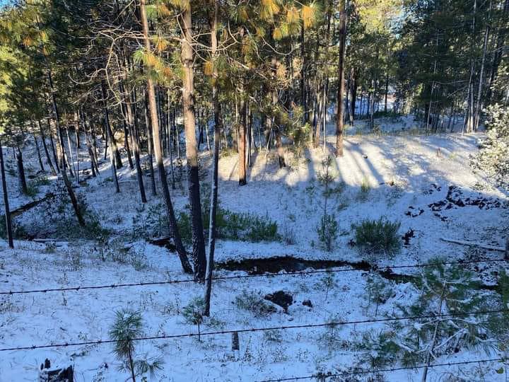 $!Nevado amanecer sorprende a la comunidad de Santa Gertrudis, en Badiraguato