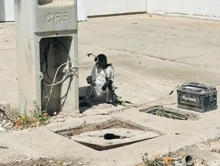 $!Denuncian maltrato animal en Los Mochis; un mono araña amarrado bajo los rayos del sol