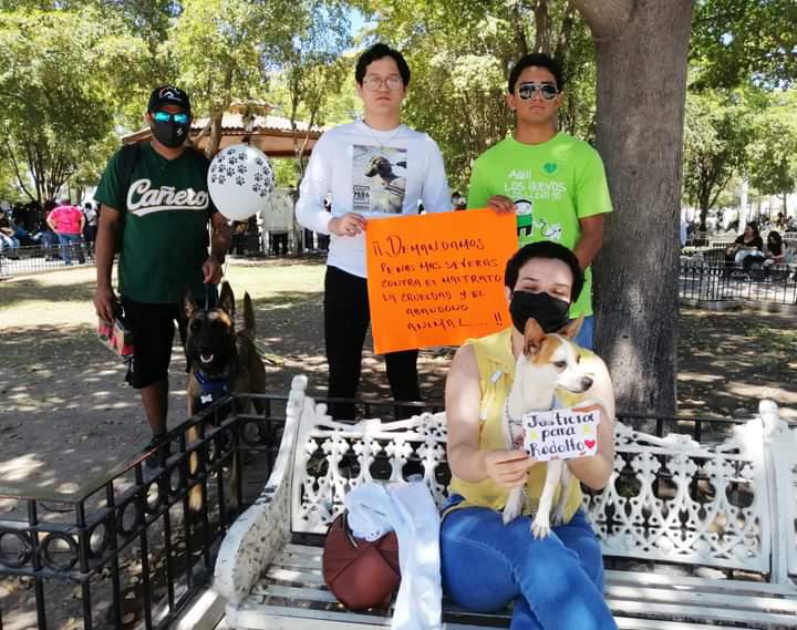 $!Despierta una macroprotesta el asesinato del perrito ‘Rodolfo’