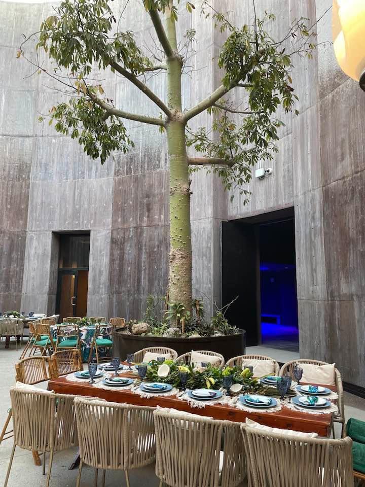 $!Aún sin inaugurar, usan el Gran Acuario Mazatlán para fiesta de funcionario