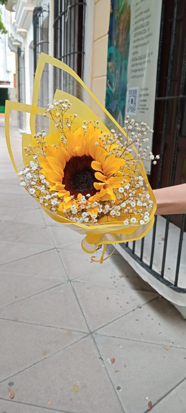 $!Buscan jóvenes las flores amarillas en Mazatlán