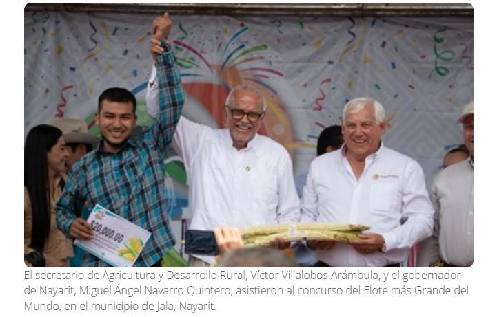 $!Realizan en Jala, Nayarit, la 39 edición del concurso del Elote más Grande del Mundo