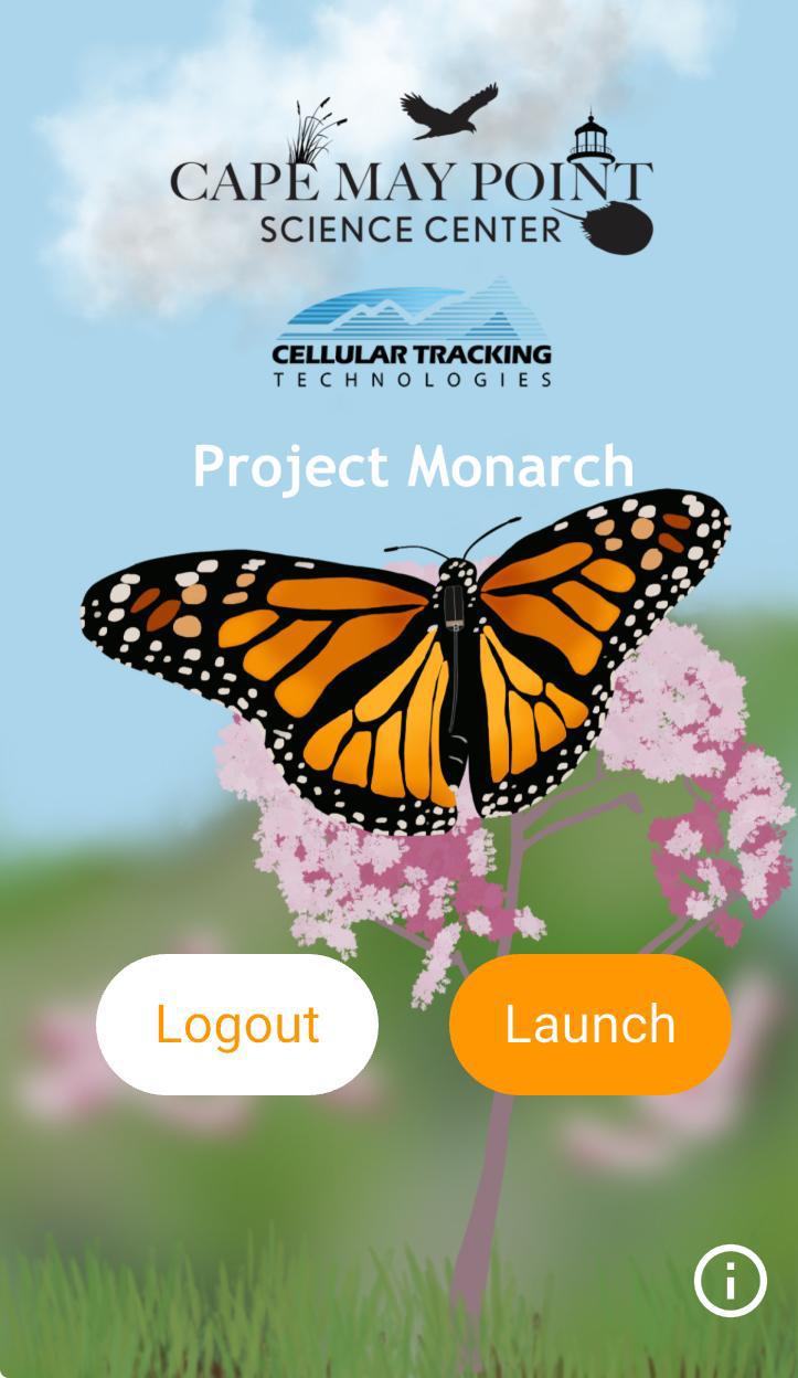 $!Invitan a sumarse al monitoreo ciudadano de la mariposa monarca en Sinaloa