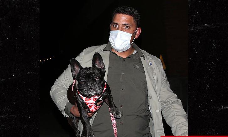 Asaltan al cuidador de los perros de Lady Gaga en Hollywood