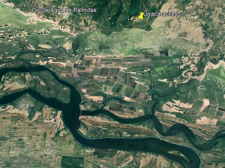 $!Advierten daños a Marismas Nacionales en Escuinapa por actividad acuícola e industria del mango