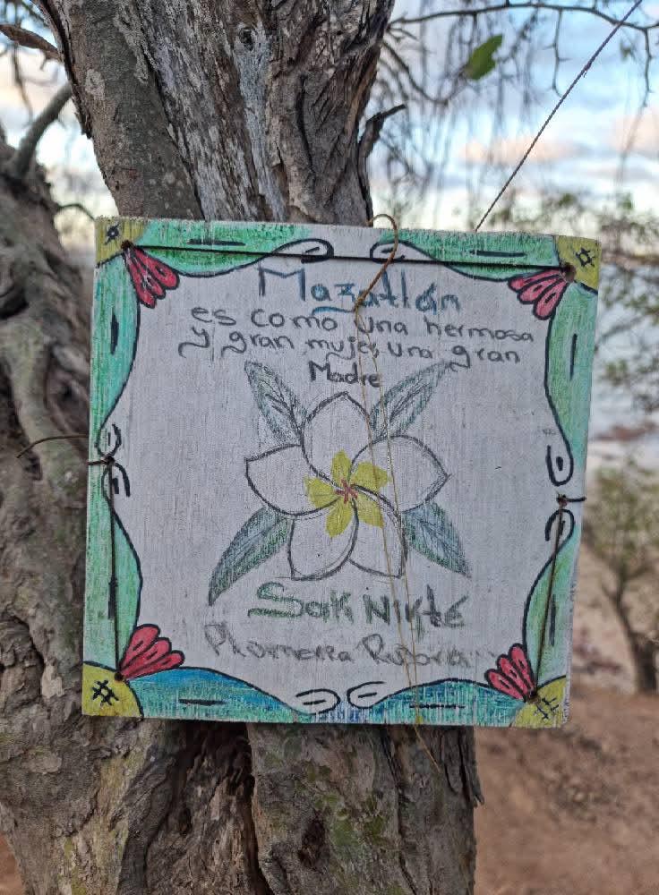 $!Harán senderismo para conocer de Mazatlán y cuidar de sus venados