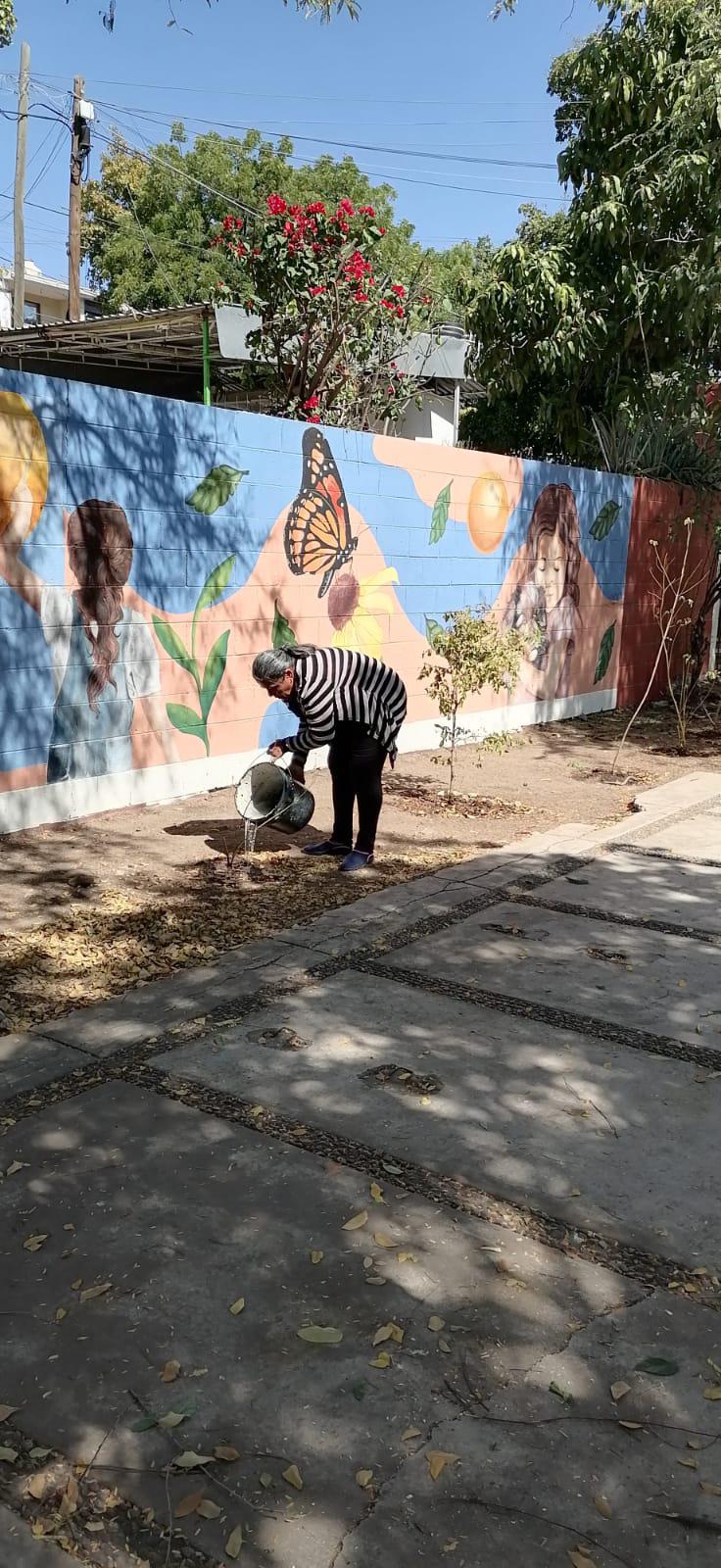 $!Vecinas de Cañadas, en Culiacán, defienden y cuidan el parque de la colonia