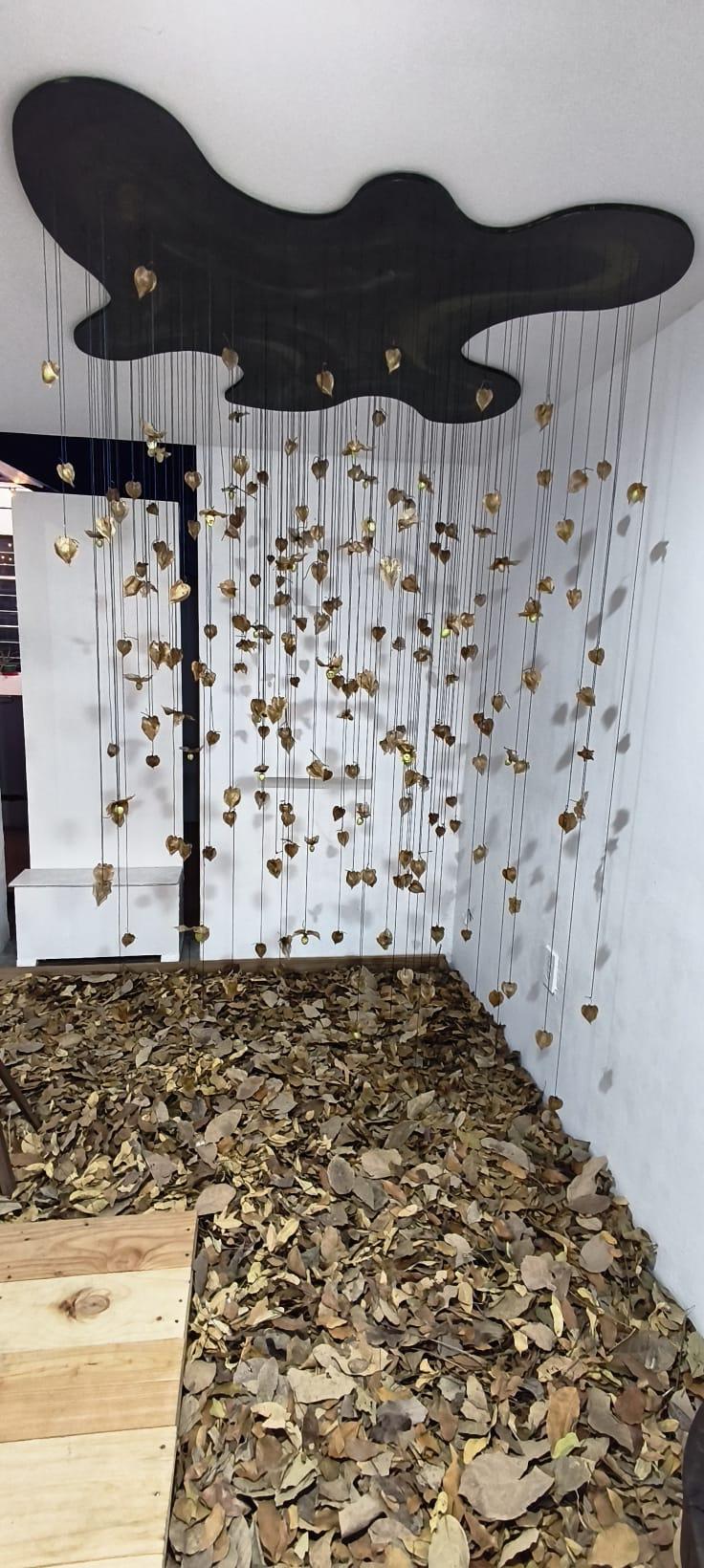 $!El suelo está cubierto con una alfombra de hojas de amapa crujientes.