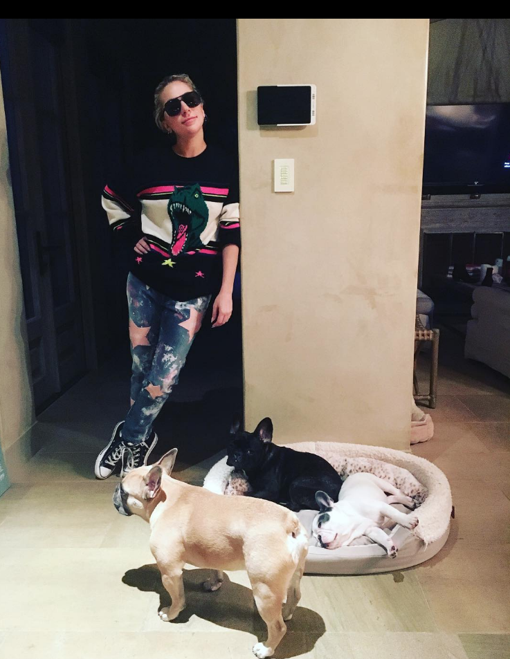 $!Mujer que devolvió perros a Lady Gaga quiere demandar por 1.5 mdd