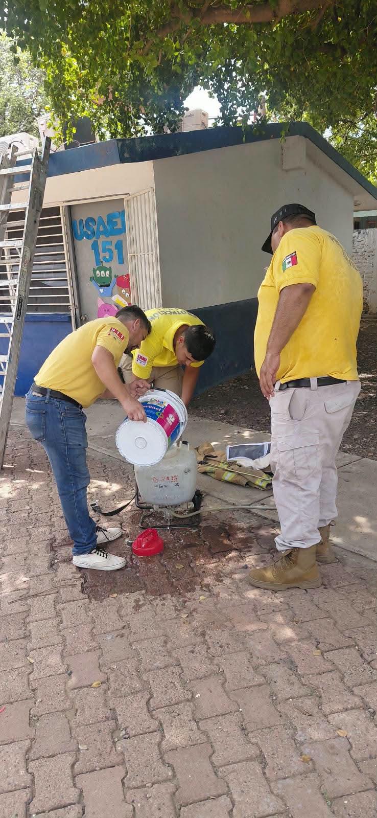 $!Reportan panal de abejas en primaria de Rosario