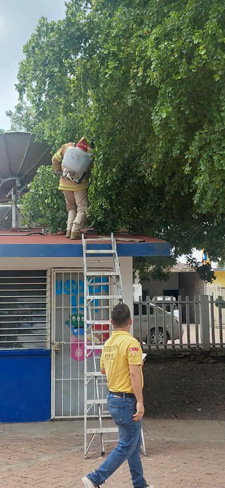 $!Reportan panal de abejas en primaria de Rosario