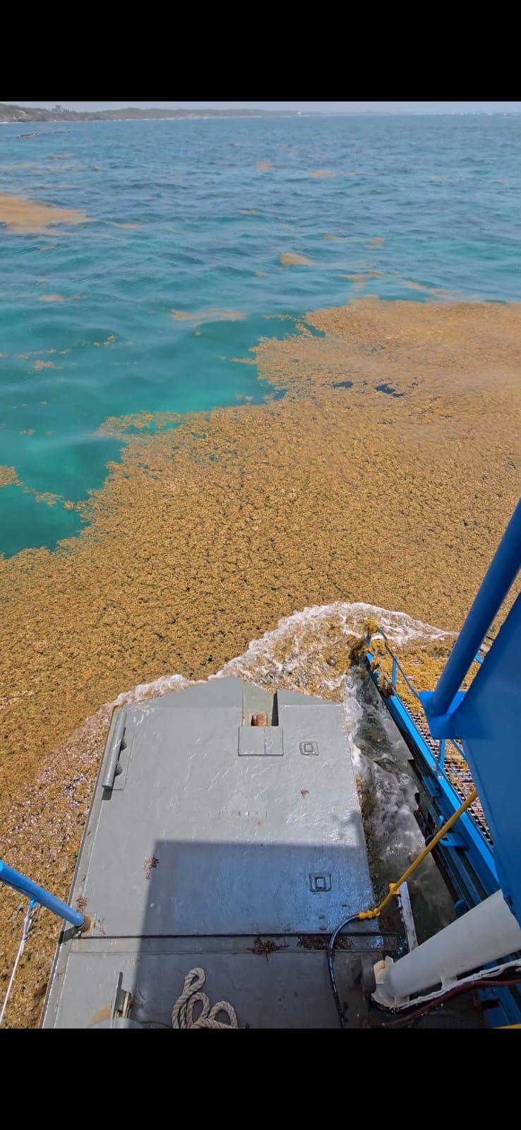 $!Refuerza Marina estrategia contra sargazo en el litoral de Quintana Roo