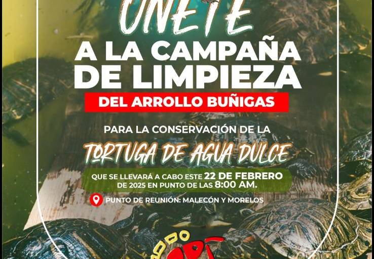 Invitan a jornada de limpieza en el arroyo Buñigas para proteger a la tortuga de agua dulce en Escuinapa