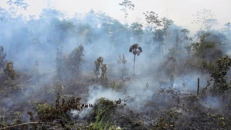 CONSECUENCIAS. Los incendios forestales y la deforestación han impactado en el equilibrio de la Amazonia.
