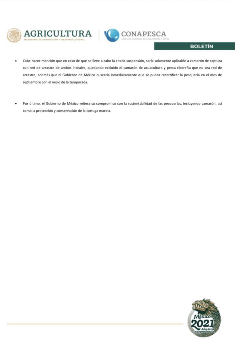 $!Camarón de altamar mexicano, en la antesala de embargo de EU por no hacer ‘uso adecuado’ de excluidores de tortugas