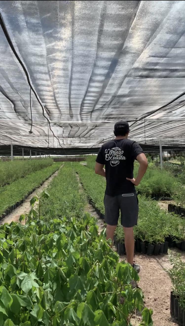 $!Busca Club El Mango Escalada tener una ciudad más verde