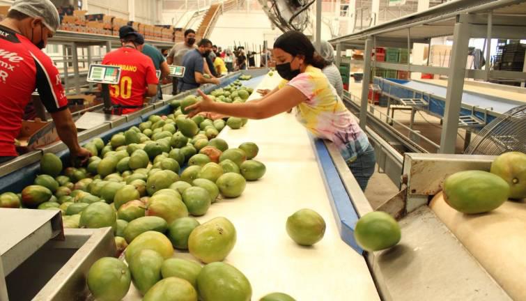 Sinaloa, entre los mejores estados para atraer operaciones de empresas extranjeras: IMCO