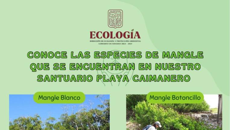 El proyecto tiene como fin crear conciencia sobre su cuidado y preservación.