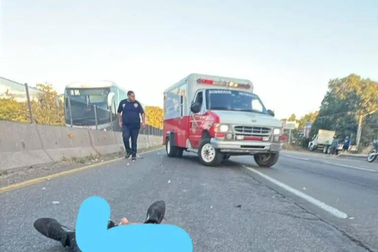 Embiste motociclista a perrito, el conductor sale lesionado y el lomito pierde la vida, en Mazatlán
