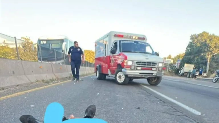 El perrito no logró sobrevivir tras el impacto con la motocicleta.