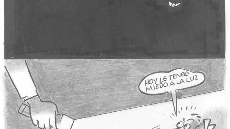 Hágase la luz con contraloría ciudadana