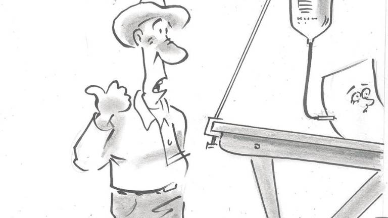 Que en nuestra negra noche se noten más las estrellas