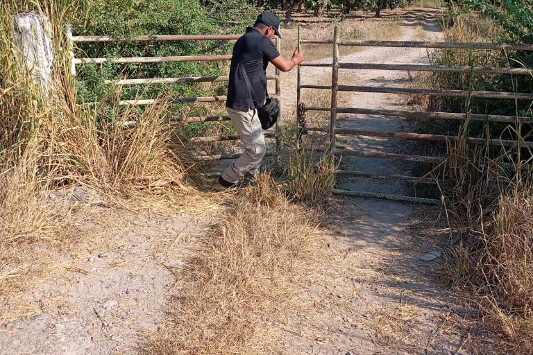 Protección Civil de Escuinapa encierra ganado para evitar accidentes carreteros