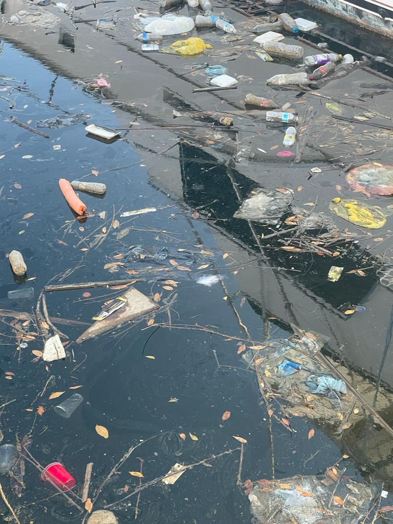 $!Denuncian acumulación de basura en la zona de muelles de la Marina Mazatlán