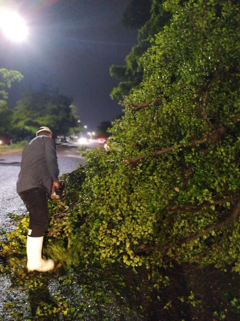 $!Lluvia deja seis carros varados, postes y árboles caídos en Culiacán