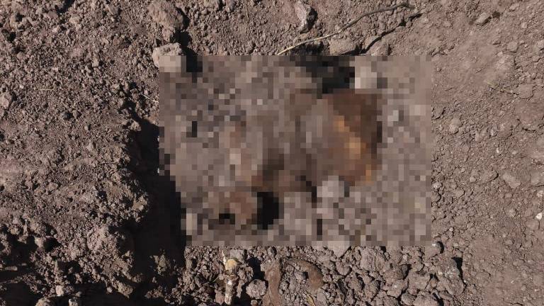 Las dos fosas clandestinas se ubican en la sindicatura de Gato de Lara, en el municipio de Angostura.