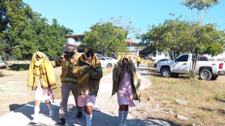 Pican abejas a 50 alumnos y 6 maestros en secundaria de El Rosario