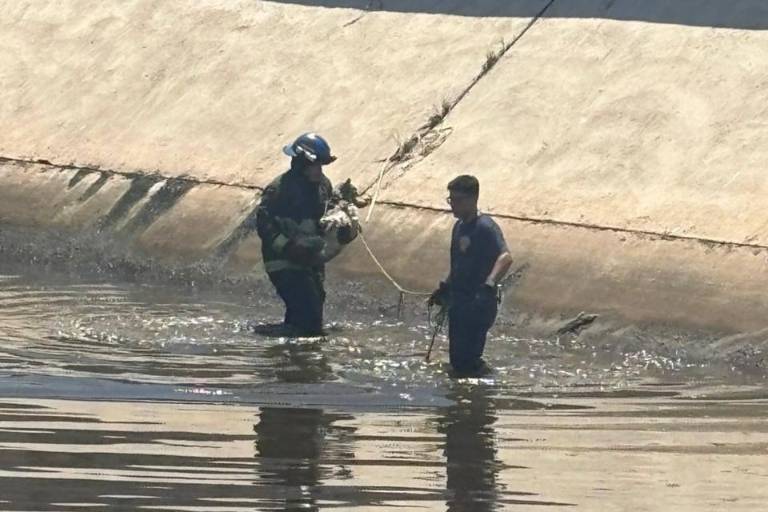 Rescata Bomberos Veteranos de Mazatlán dos perros huskys del arroyo Jabalines