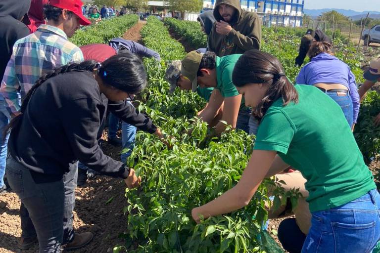 Estudiantes de Fruticultura ‘cosechan’ conocimientos de buenas prácticas agrícolas