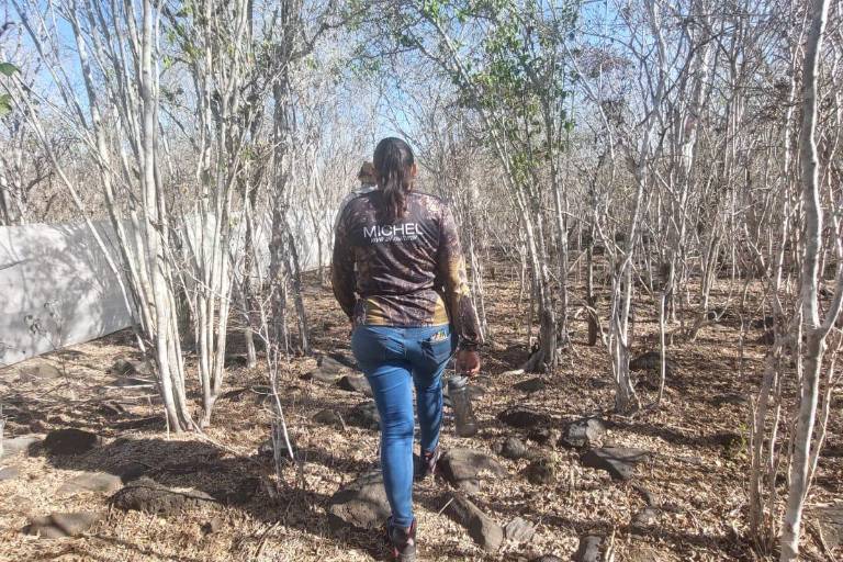 La Chicayota: Un recorrido por los vestigios de la erupción de un volcán y la Era del Hielo