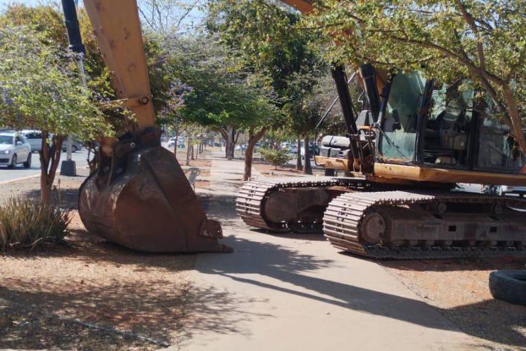 Denuncia Cemaz posible tala de 20 árboles por obra de Jumapam en Mazatlán