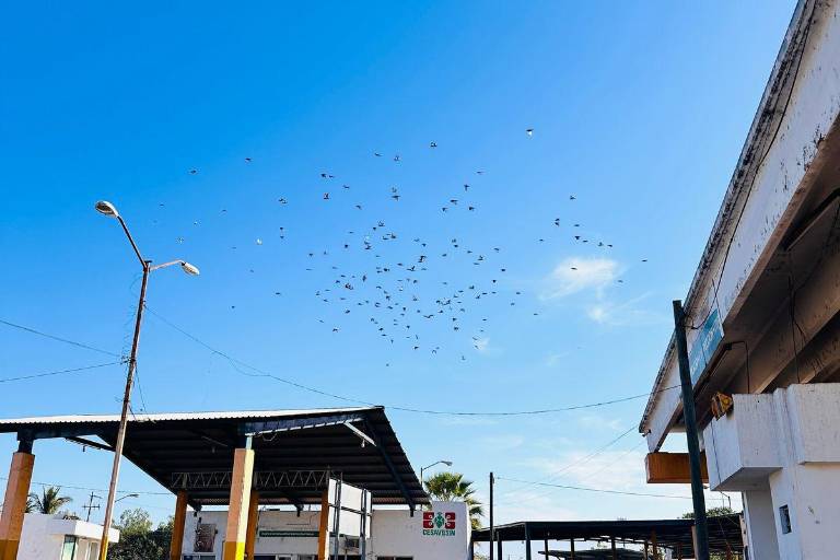 Denuncian trabajadores de casetas fitosanitarias atrasos en el pago de nóminas