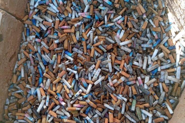 Impiden que 2 mil colillas de cigarros acaben en el mar, en Mazatlán