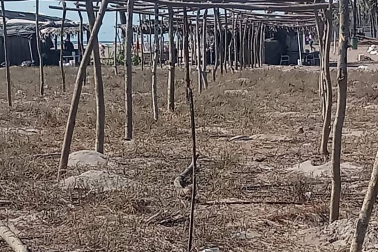 Falta de pago de salarios retrasa construcción de enramadas para las Fiestas del Mar de Las Cabras