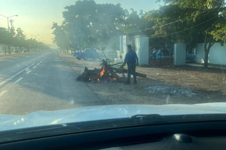 Multan a florista por quemar árbol seco afuera del Panteón Jardín