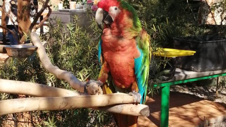 En el santuario de Ostok se impartirán cursos a estudiantes de veterinaria y biología.
