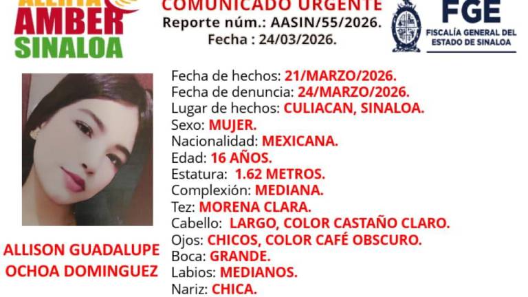 Allison Guadalupe fue vista por última ocasión en la colonia San Fermín.