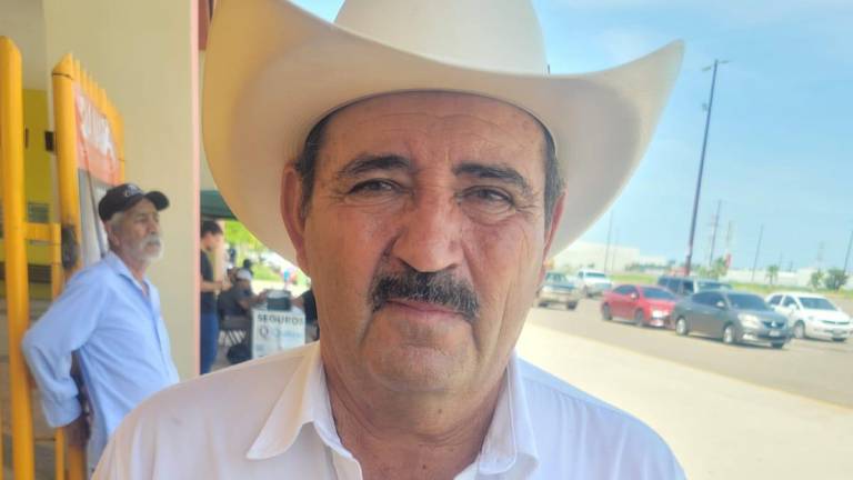 Mario Camacho, presidente de la Unión Ganadera Regional de Sinaloa, afirmó que no ha habido brotes de enfermedad entre el ganado en la entidad.