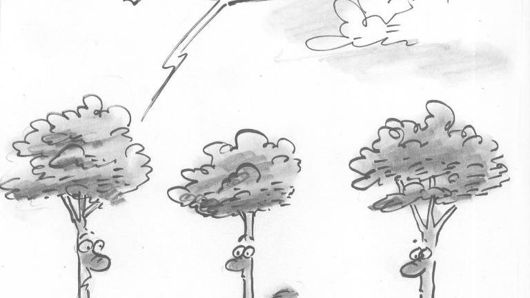 Estrellita en la frente para los promotores