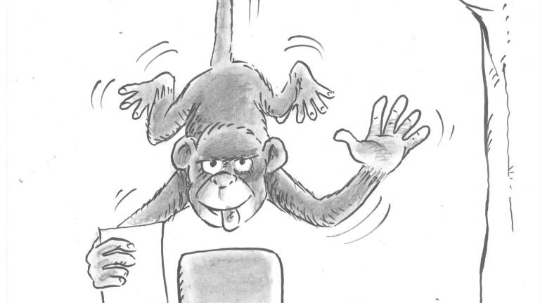 ‘Al Chango Ote aunque lo vistan de seda, chango se queda’