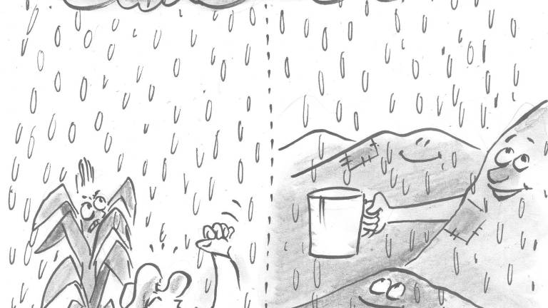 Tláloc no es monedita de oro