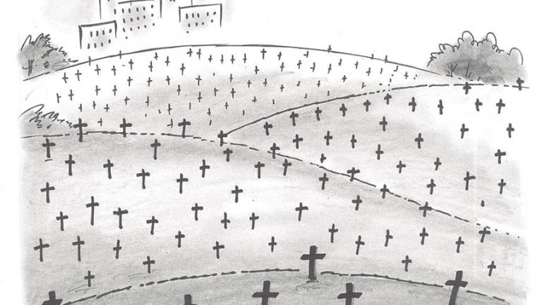 Murieron por la patria