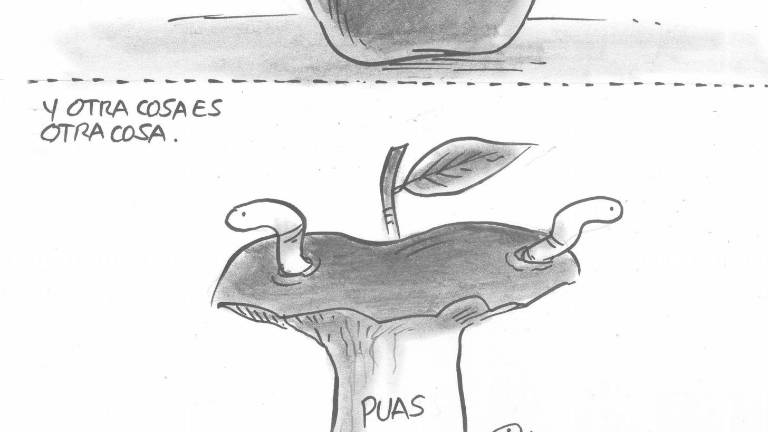 Cuén, Madueña y pandilla no son la UAS