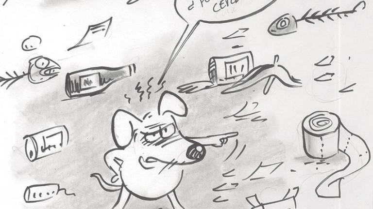 ¿Cómo dejaste tu espacio en la playa?